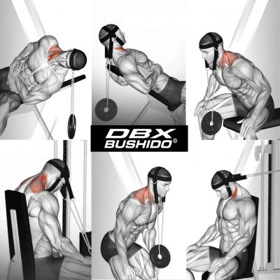 10. Pro Nackengeschirr