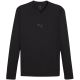 Herren-T-Shirt Puma TeamGOAL Baselayer Tee Longsleeve, schwarz, 658777 03