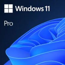 Windows Professional 11 64-Bit (Alle Sprachen) – Produktschlüssel