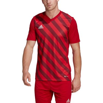 15. adidas Entrada 22 Graphic Jersey M HB0572