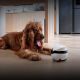 6. ENABOT Ebo AIR 2 Plus Roboter – Haushaltsbegleiter mit Überwachungs- und Videoanruffunktion (weiß)