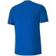2. Puma teamGOAL 23 Trikot M 704171 02