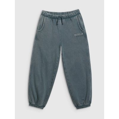 6. Jogginghose für Jungen 4F 4FJRAW25TTROM1528-46S