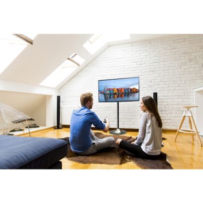 5. Techly ICA-TR10 Schildhalterung 68,6 cm (27") Silber