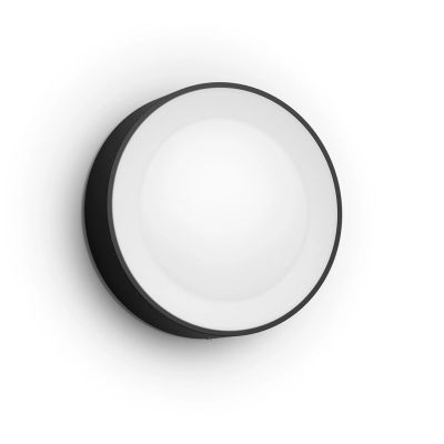2. Philips Hue WCA Daylo 15W 2000-6500 Hue White Color Atmosphere Außenwandleuchte