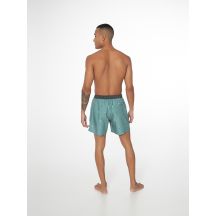 Herren-Badeshorts Protest PRTFIRDOWS Beachshorts