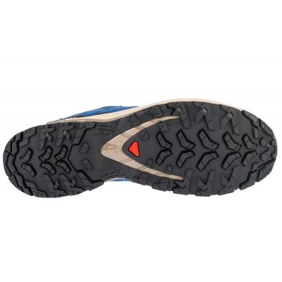 4. Salomon XA Pro 3D v9 GTX M L47817200 Laufschuhe