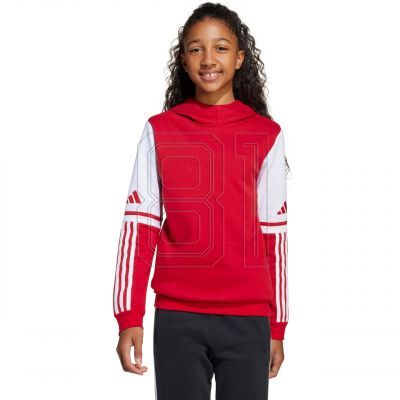 4. Adidas Squadra 25 Sweat Hoody Jr JD4805