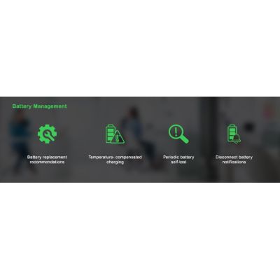 12. APC Smart-UPS 3000VA LCD RM 2U 230V mit SmartConnect