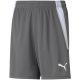5. Puma teamLIGA Shorts Jr 704931 13