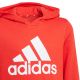 10. Adidas Essentials Big Logo Hoodie Jr GN4037 Sweatshirt