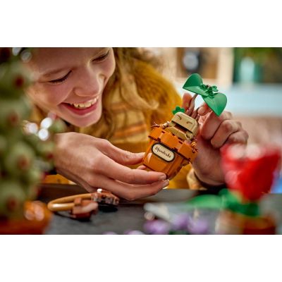 10. LEGO Harry Potter 76474 - Hogwarts Kräuterkunde Pflanzen