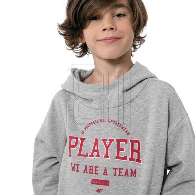 5. Sweatshirt 4F Jr HJZ22 JBLM006 27M