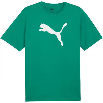 Puma Team Rise Logo Jersey Baumwolle M 658705 05