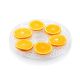 13. ETA Secca Plus Obsttrockner – 830190000