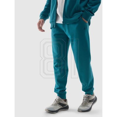 Pants 4F M 4FWSS24TTROM603 46S