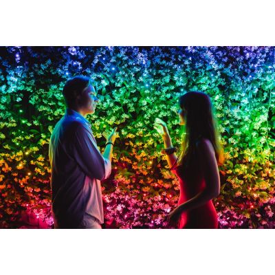 10. Funkelnde 600 RGB Smart-Weihnachtsbeleuchtung 48 m