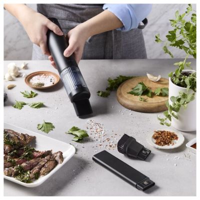 2. ZWILLING XTEND Akku-Staubsauger (ohne Batterien) schwarz