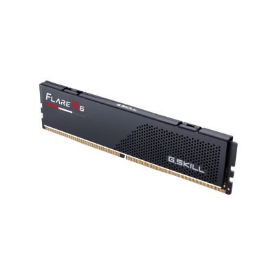 2. G.SKILL FLARE X5 AMD DDR5 8GB 6000MHZ CL30 EXPO BLACK F5-6000J3038F8GH1-FX5