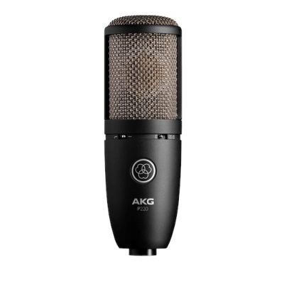 AKG P220 - Großmembran-Kondensatormikrofon