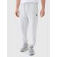 Herren Jogger Sweatpants 4F 4FWMM00TTROM1139-27M