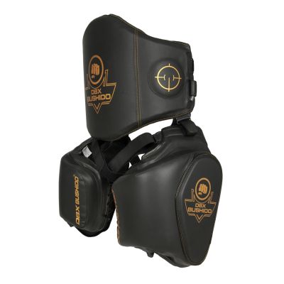 13. ProFighter Trainer's Torso- und Oberschenkelschutz-Set