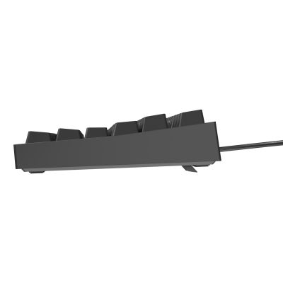 16. GENESIS Thor 404 TKL Gaming-Tastatur USB QWERTY Amerikanisches/Internationales Schwarz
