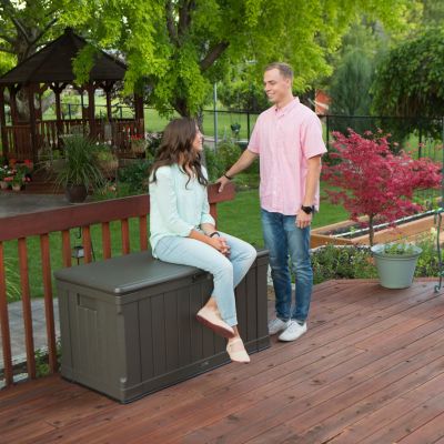 43. Gartenlagerbox 439 L 60089