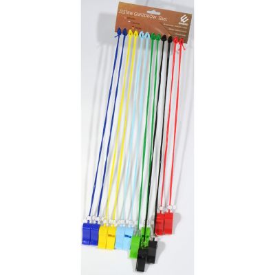 2. Enero 2079677 Kunststoffpfeife