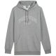 3. Puma Ess+ Logo LAB Gradient Hoodie FL M 681775 03