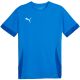 3. Puma teamGoal Spieltagstrikot M 705747 02