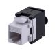 Q-LANTEC Werkzeugloses RJ45 UTP Cat.6 Keystone-Modul