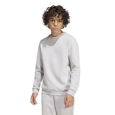 3. adidas Entrada 26 Sweatshirt für Kinder, grau, JZ6551