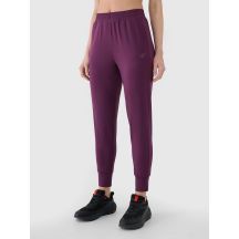Schnelltrocknende Trainingshose für Damen 4F 4FRSS25TFTRF0789-50S