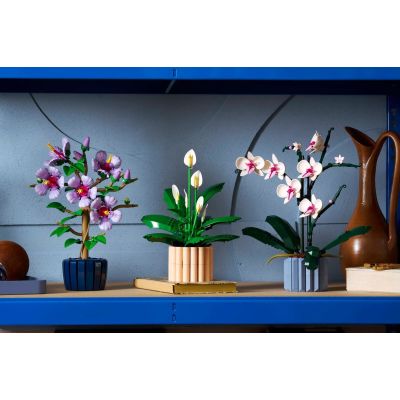 10. LEGO Botanical 11504 Spathiphyllum in einem Topf