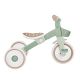 7. Dreirad/Laufrad LEARNING TRIKE 2in1 PLUS ECOLOGIC (737-109)
