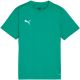 Puma TeamGoal Trikot für Kinder grün 658637 05