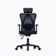 41. Ergonomischer Bürostuhl ACTIVEJET T5 schwarz