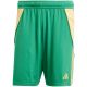 3. adidas Tiro 24 M IT2414 Shorts