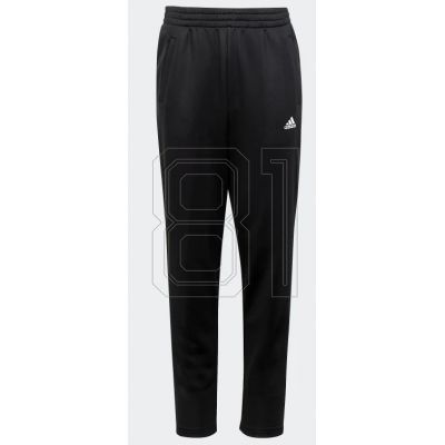 adidas FT Pant Jr HR6399