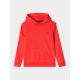 5. Jungen-Sweatshirt mit Kapuze, offen, 4F Junior 4FJWMM00TSWSM1292-70S
