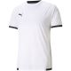 5. Puma TeamLiga Trikot M 704917 04