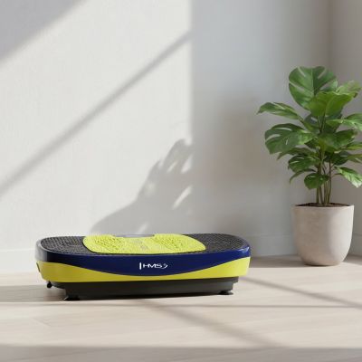 3. SVP11 Vibrationsplattform mit 3D-Overlay und 2 HMS-Motoren