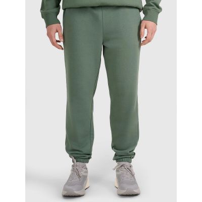 Herren-Jogginghose 4F 4FWAW25TTROM1272-41S