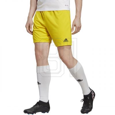 6. adidas Entrada 22 M IC7404 Shorts