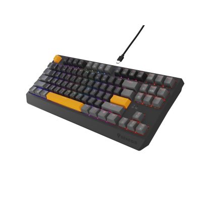 19. GENESIS Thor 230 TKL Gaming-Tastatur USB + RF Wireless + Bluetooth QWERTY Schwarz, Grau, Orange