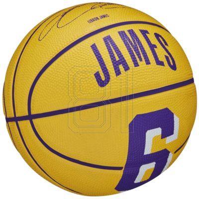 2. Wilson NBA Player Icon Stephen Curry Miniball WZ4007401XB
