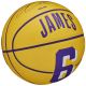 2. Wilson NBA Player Icon Stephen Curry Miniball WZ4007401XB