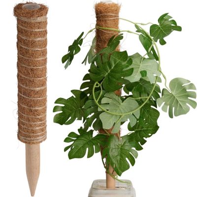 7. Kokosnuss-Pflanzenstütze 50 cm PROGARDEN