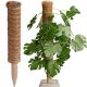 7. Kokosnuss-Pflanzenstütze 50 cm PROGARDEN